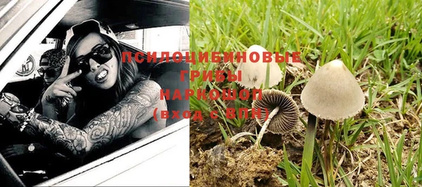 а пвп мука Гусь-Хрустальный