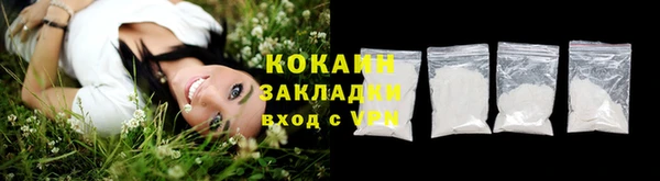 амф Гусиноозёрск