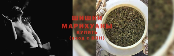 амф Гусиноозёрск
