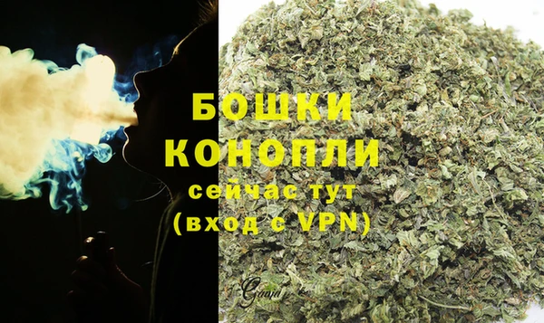 амф Гусиноозёрск