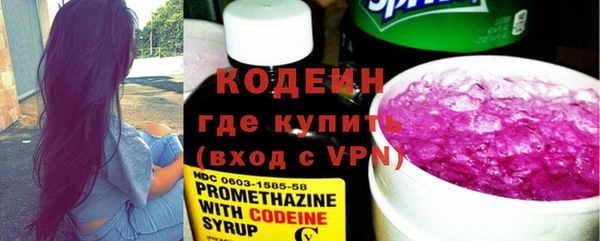 амф Гусиноозёрск