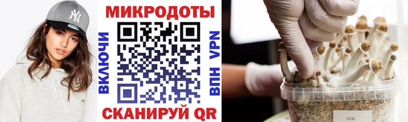 Галлюциногенные грибы MAGIC MUSHROOMS  Домодедово 