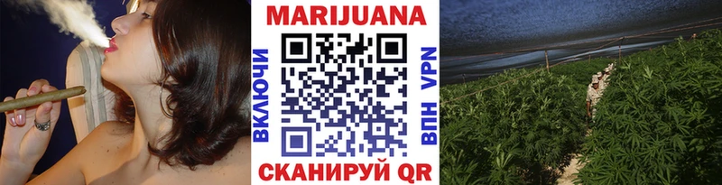 купить  цена  Домодедово  Марихуана SATIVA & INDICA 